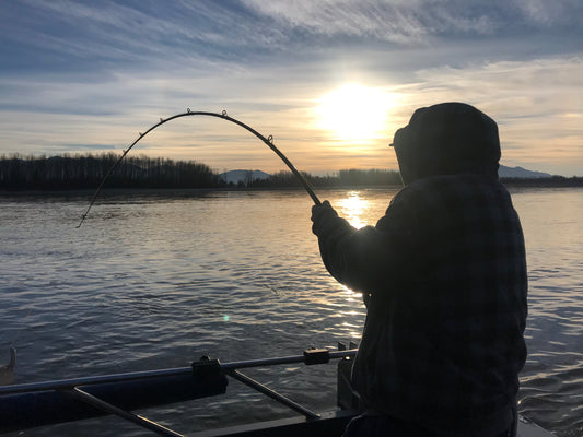 Why I Keep Coming Back to Fish with Yves Bisson
