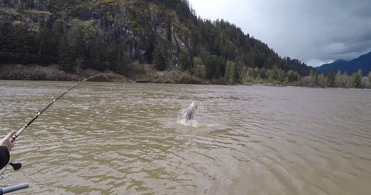 Guided Vancouver Sturgeon Fishing Trip 2025