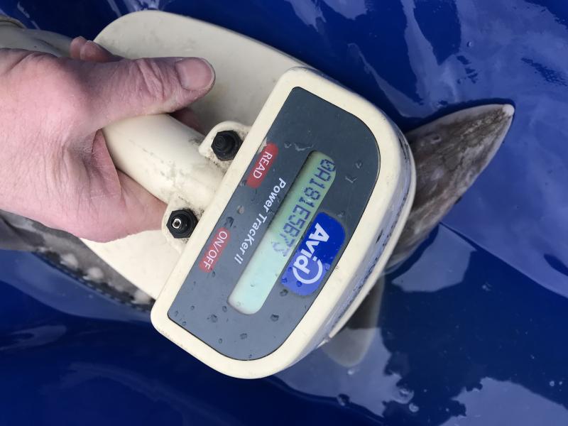 Fraser River Sturgeon Tagging Program