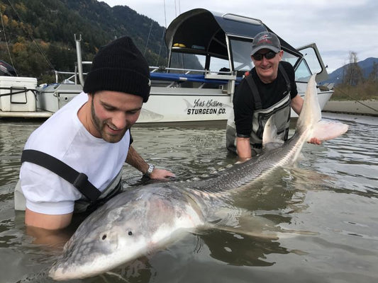 10 Tips For Your Sturgeon Fishing Trip On The Fraser River