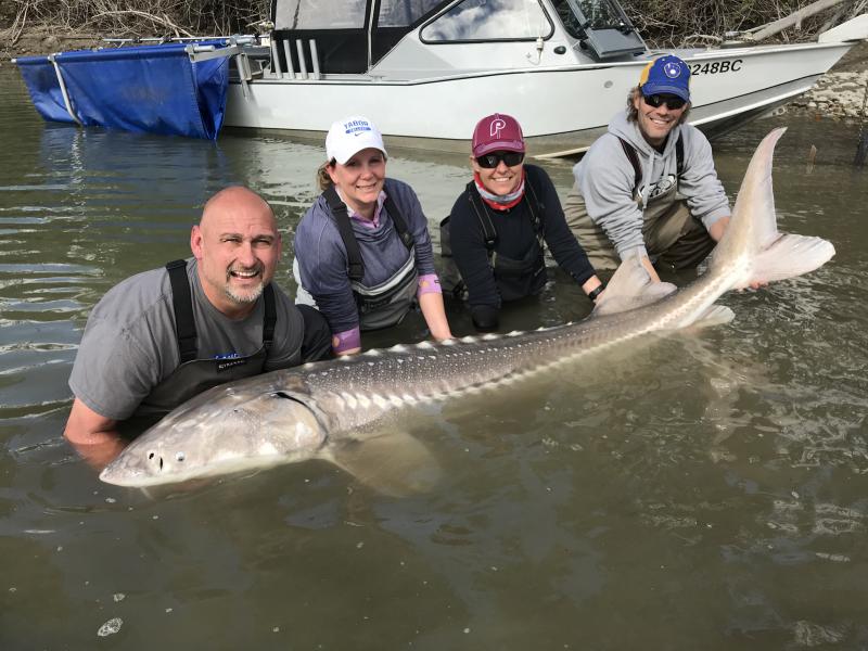 What to Look for When Choosing a Sturgeon Fishing Guide?