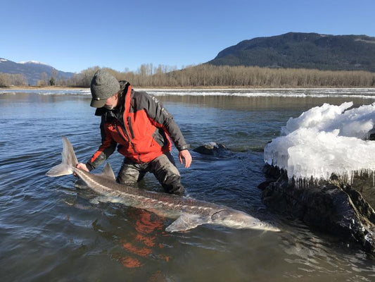 Can You Catch A Sturgeon In Winter?