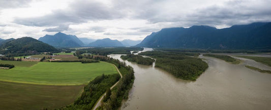 Why Catch and Release when Sturgeon Fishing in the Fraser River?