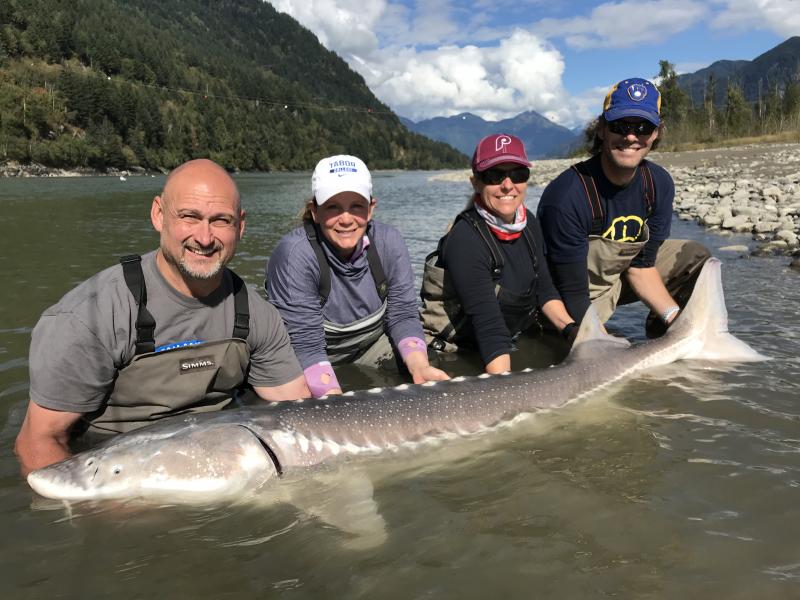 Sturgeon Fishing - A Great Day Activity for BC Residents