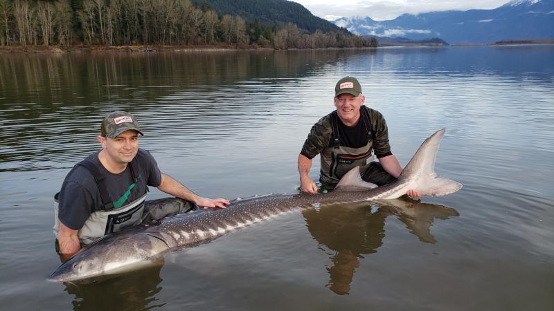 Why go Sturgeon Fishing?