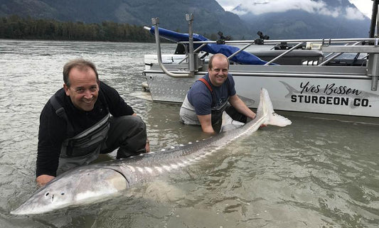 Best Practices When Catching A Sturgeon