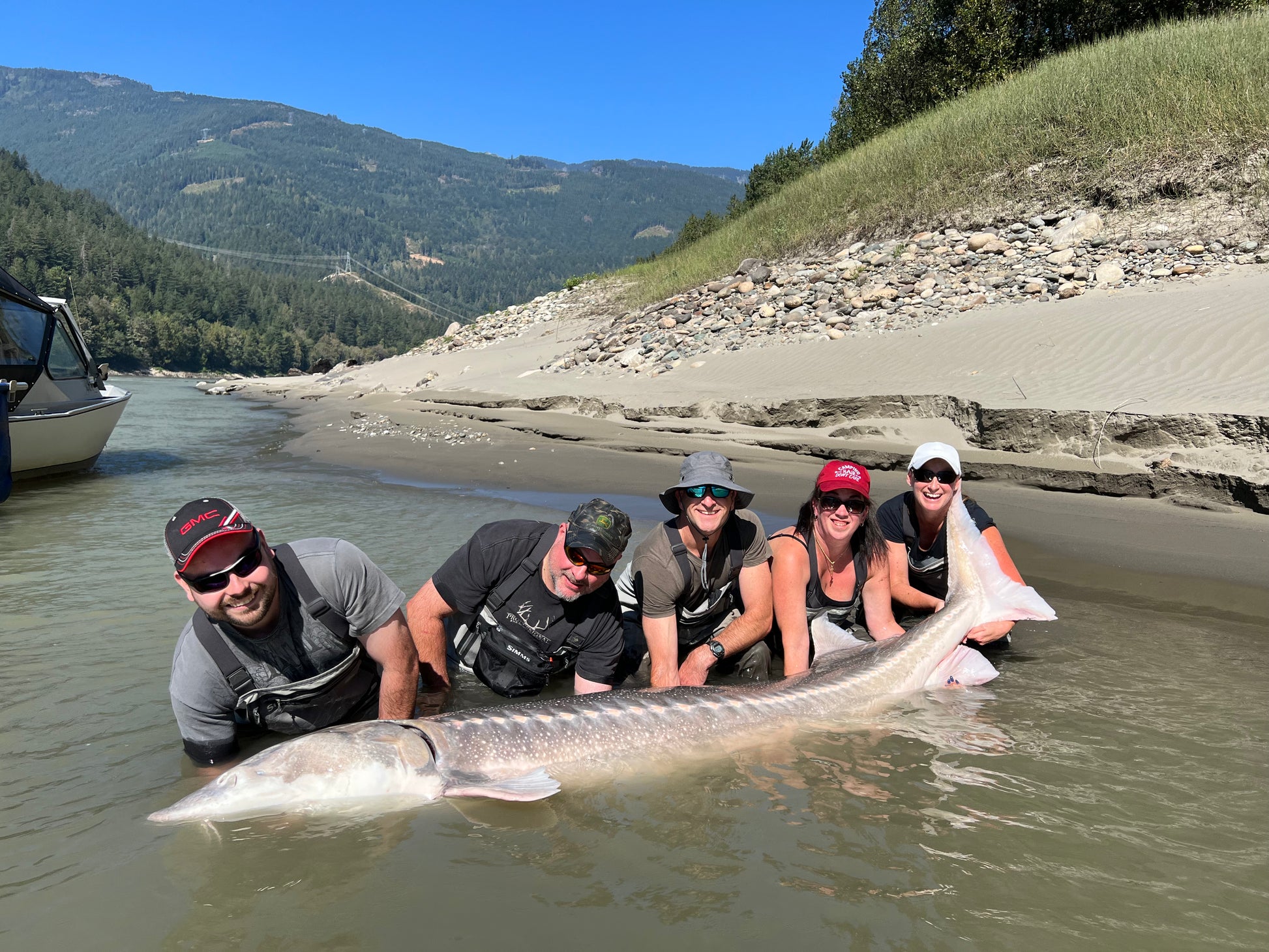 fish finders private charters Fraser River Sturgeon Fishing Charters | Sturgeon Co